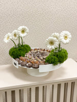 Daisy chocolate flowers tray