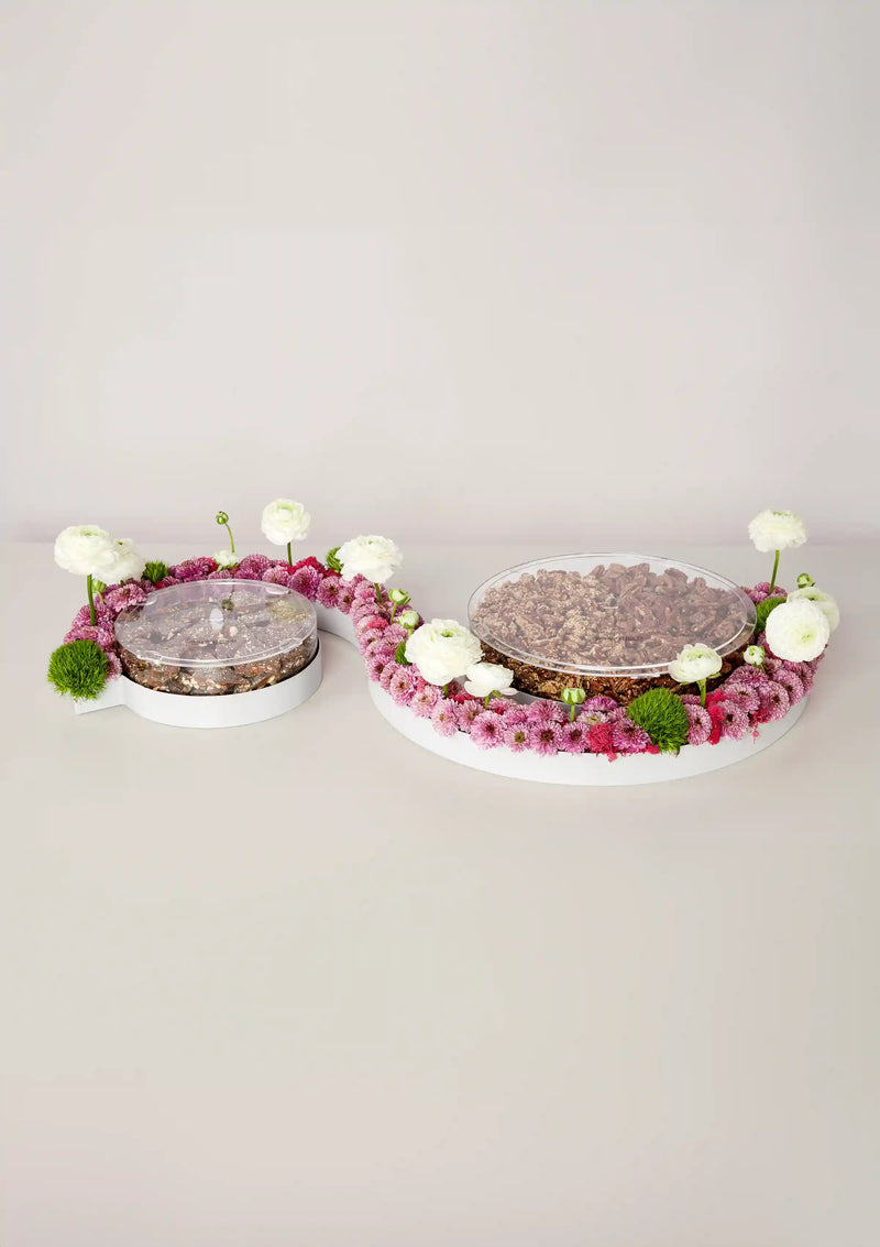 S-Shape delights tray